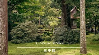 Sanzenin Temple and Japanese Garden in Kyoto | Ohara - 三千院 | A Lesson in Patience and Slowing Down