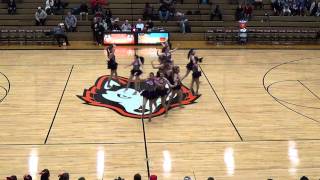 Harlem Varsity Dance Team 12 12 2014