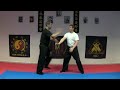 tradicionális wing chun kung fu