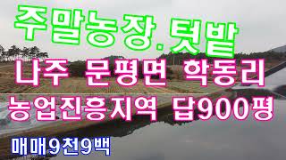 #전남토지매물번호(1612)나주시 문평면 학동리 농업진흥지역 답900평  주말농장 텃밭 농지원부