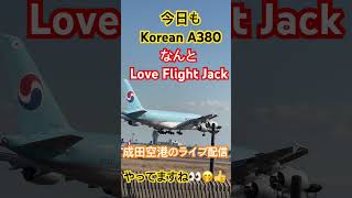 1/9 今日もKorean A380が来たよこれからライブ配信にでホヌ、アシアナ、Korean、エミレーツのエアバス380 #shorts #成田空港 #さくらの山公園 #loveflightjack