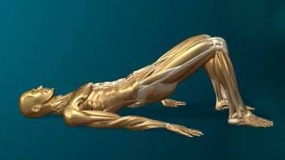 rsp010.avi