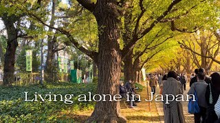 Japan Vlog｜Meiji Shrine Gaien Ginkgo Avenue｜Sumo Hot Pot｜daily of an office worker ｜Zippo lighter