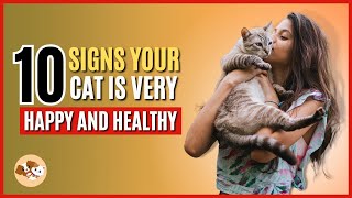 10 Signs Your Cat is Very Happy and Healthy | Signs your Cat is happy with you | Cutie Paws Facts