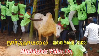 நார்த்தாமலை ஜல்லிக்கட்டு 2023 | Narthamalai Jallikattu Highlights Video On 2023