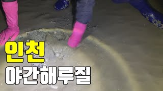 야간해루질 바람불고 물색 안좋을때 해루질 하는 방법!