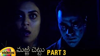 Marri Chettu Telugu Horror Full Movie HD | Sushmita Sen | JD Chakravarthy | Vaastu Shastra | Part 3
