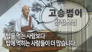 고승법어 성철스님 제83회... 밥을 먹는 사람보다 밥에 먹히는 사람들이 더 많습니다...