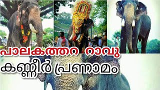 പാലക്കാത്തറ റാവു |ആന കേരളത്തിന്‌ ഒരു നഷ്ടം കൂടി | Palakkathara Ravu|