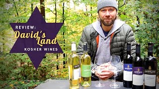 Best Kosher Wines: Tasting David's Land Vineyards