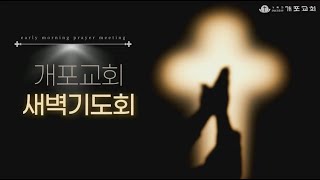 [개포교회 새벽기도회] 2025.01.30 (목) | 진정 자유로우십니까? | 요한복음 8:31-47 | 정성훈 목사