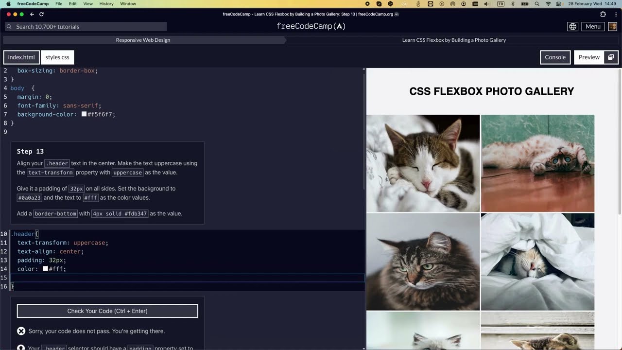 Learn CSS Flexbox By Building A Photo Gallery - Step 13 #freecodecamp # ...