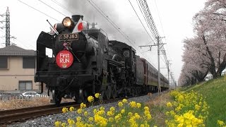 2016/4/2 秩父鉄道 SLパレオエクスプレス ファーストラン 下り大麻生駅進入