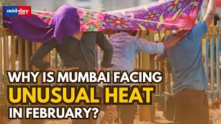 Mumbai weather: Why is Mumbai experiencing a rise in temperature in Feb? IMD Director speaks