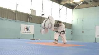 Hapkido JJK Master COUET Raphael Demo Corsica 2009