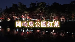 【岡崎東公園】紅葉ライトアップおっさんが作ったらこうなった。