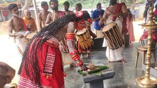 vellatt malakkaari  #theyyam