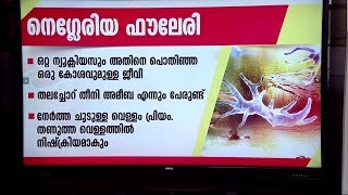 എന്താണ് അമീബിക് മസ്തിഷ്ക ജ്വരം? ആശങ്കപ്പെടേണ്ടതുണ്ടോ ? അറിയാം | Brain Eating Amoeba