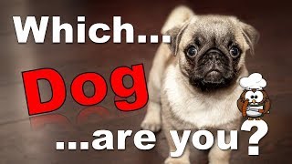 ✔ Which Dog Are You? - Personality Test