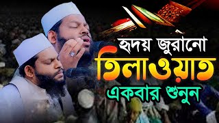 আহ! একি তিলাওয়াত। কারী সাইদুল ইসলাম আসাদ নতুন তিলাওয়াত ২০২৪। Qari Saidul Islam Asad Quran Tilawat