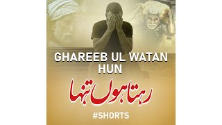 Ghareeb ul Watan Hun - Hafiz Hassan Anzar - Peace Studio Shorts #shorts