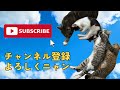 【猫が大嫌いな人にだけする行動】 猫の雑学 猫 ねこ