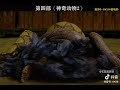 电影🎬推荐｜5部魔幻电影 视觉震撼 建议收藏订阅 ｜精彩片段｜震撼｜高清视频