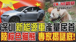 深圳「新能源車」產量居首 陸棕色貓熊 專家揭謎底!｜CHINA觀察PODCAST @TVBSNEWS01