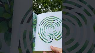 LABYRINTH MEDITATIONS 🧘♂️🧘 Trace with your finger #relaxingvideos #mindfulness