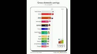 Which country has the most savings in the G20? (percentage of GDP)
