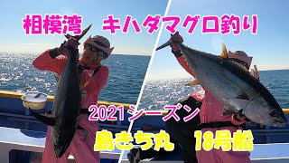 【キハダマグロ釣り】【相模湾】【キハダマグロカツオ船】【島きち丸】