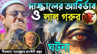 দাজ্জালের আবির্ভাব ও লাল গরুর ঘটনা | Pirzada Mohibbulla Hussaini Waz // পীরজাদা মহেবুল্লাহ হুসাইনী