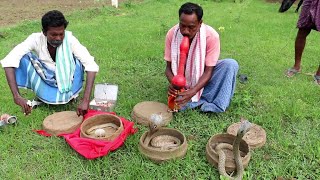 snake charmers in india || pamulu pattevallu