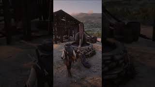 Red Dead Redemption 2 Easter Egg #9 - The Donkey Lady #rdr2