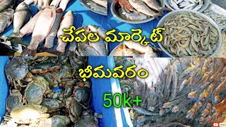 bhimavaram fish market