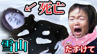 ※雪山で迷子になって遭難したのでレスキュー隊を待ちました。。。。