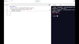 Java Programming Skills Using Replit: System.exit()