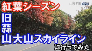 秋色に染まる ＃旧蒜山大山スカイライン（2020/10/27撮影）