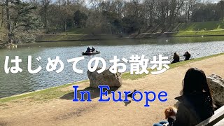 Puppy the first taking for a walk in Europe 【Cavalier King】