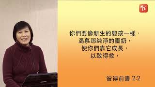 《每日與主同行 2》彼得前書(9) - 黃朱鳳美傳道