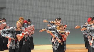 京都チーム　櫻嵐洛　スーパーよさこい　2017　代々木公園ステージ