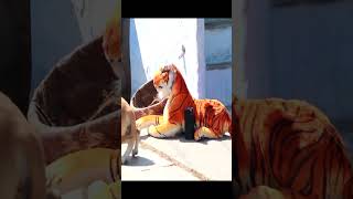 😂😂🐕🐯Prank Dog with Fake Tiger So Funny Dogs Prank Try To Stop Laugh 2023 #shorts 🐕