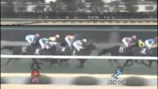 2011年　第18回チューリップ賞(GⅢ)　レーヴディソール