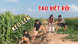 Nhờ Làm Việc Cho Có Mấy Trái Bắp Mà Lên Bờ Xuống Ruộng