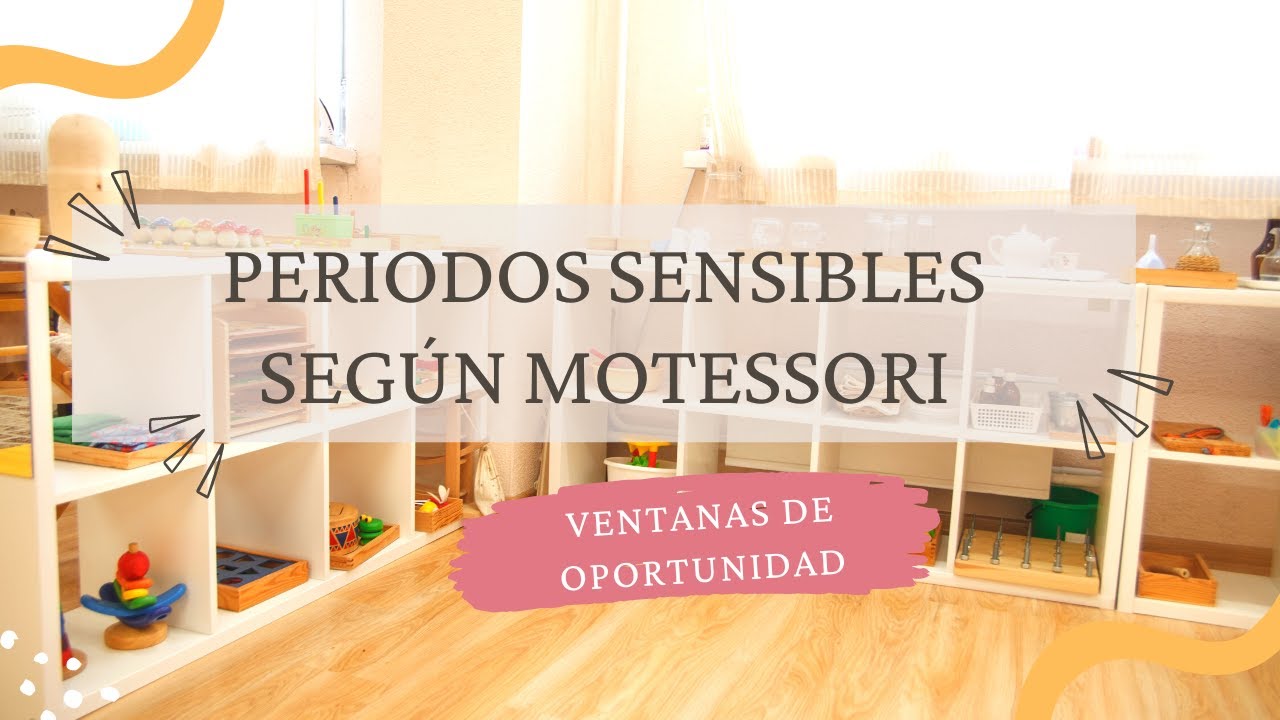 Periodos SENSIBLES| Montessori En Casa| Ventanas De Oportunidad ...