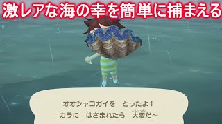 【あつ森】必見！捕るのが大変なオオシャコガイを簡単に捕まえる方法！【あつまれどうぶつの森】