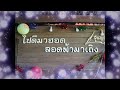 ภาษาพวน