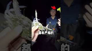 熱心網友發現澳洲大藍蟹氾濫成災，帥小夥帶女友火速前往。。