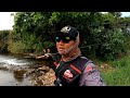 ซ้ำหมายเดิม ตกปลากระสูบน้ำไหลคลองมวกเหล็ก abu garcia morrum area master abu garcia max stx