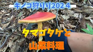 『キノコ狩り2024　タマゴタケと山菜料理』